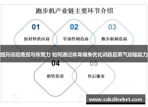 提升运动表现与恢复力 如何通过体育健身优化训练后氧气运输能力